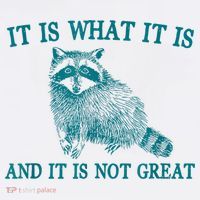 It Is What It Is And It Is Not Great Raccoon Mousepad thumb 1
