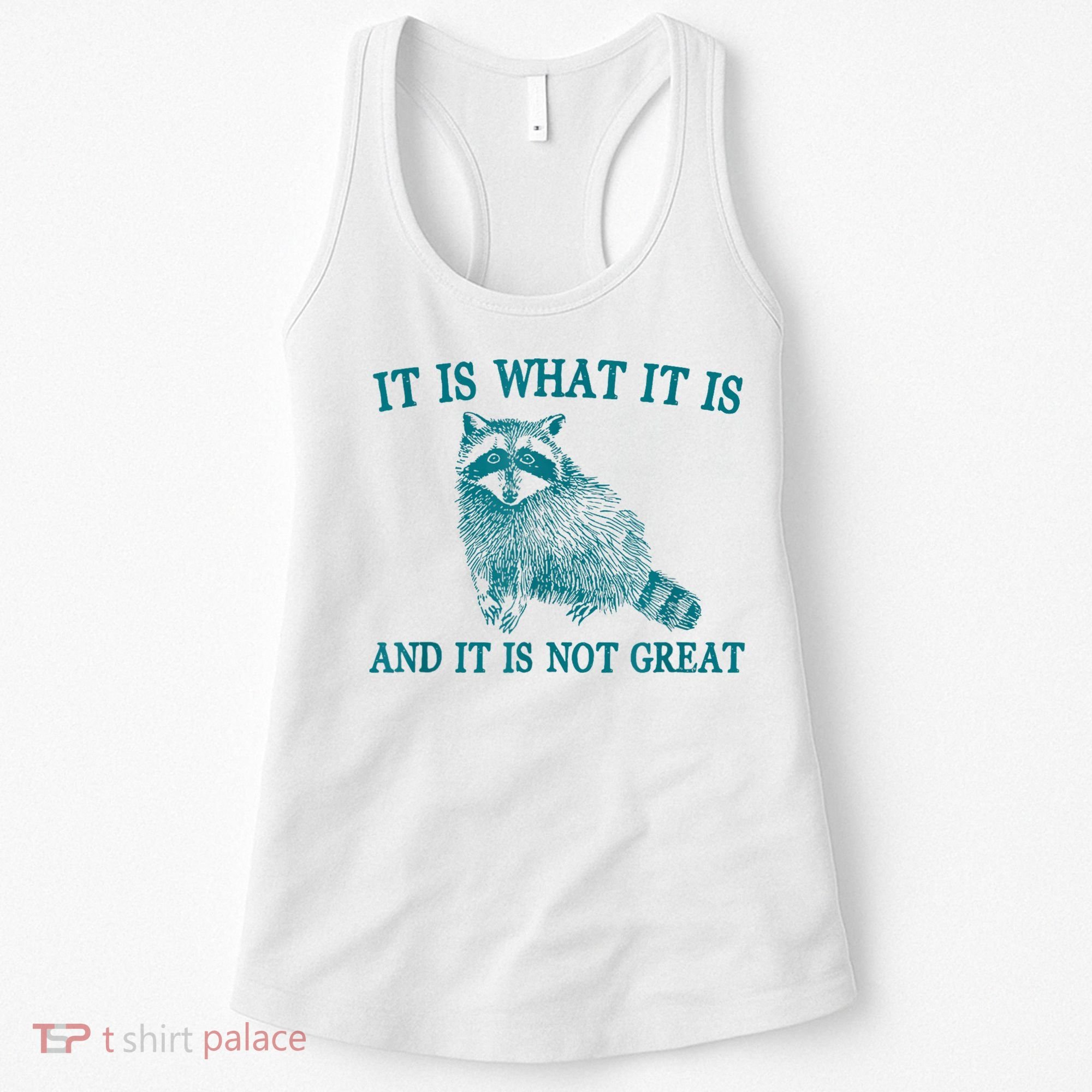 It Is What It Is And It Is Not Great Raccoon Women's Tank Top