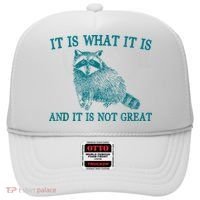 It Is What It Is And It Is Not Great Raccoon Hat thumb 0