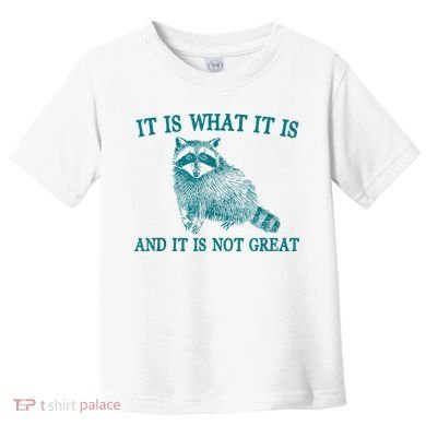 It Is What It Is And It Is Not Great Raccoon Toddler T-Shirt