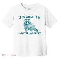 It Is What It Is And It Is Not Great Raccoon Toddler T-Shirt thumb 0