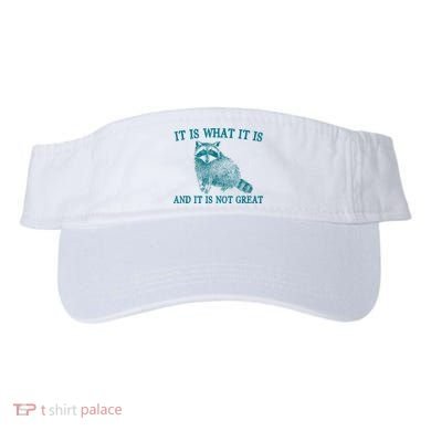 It Is What It Is And It Is Not Great Raccoon Visor