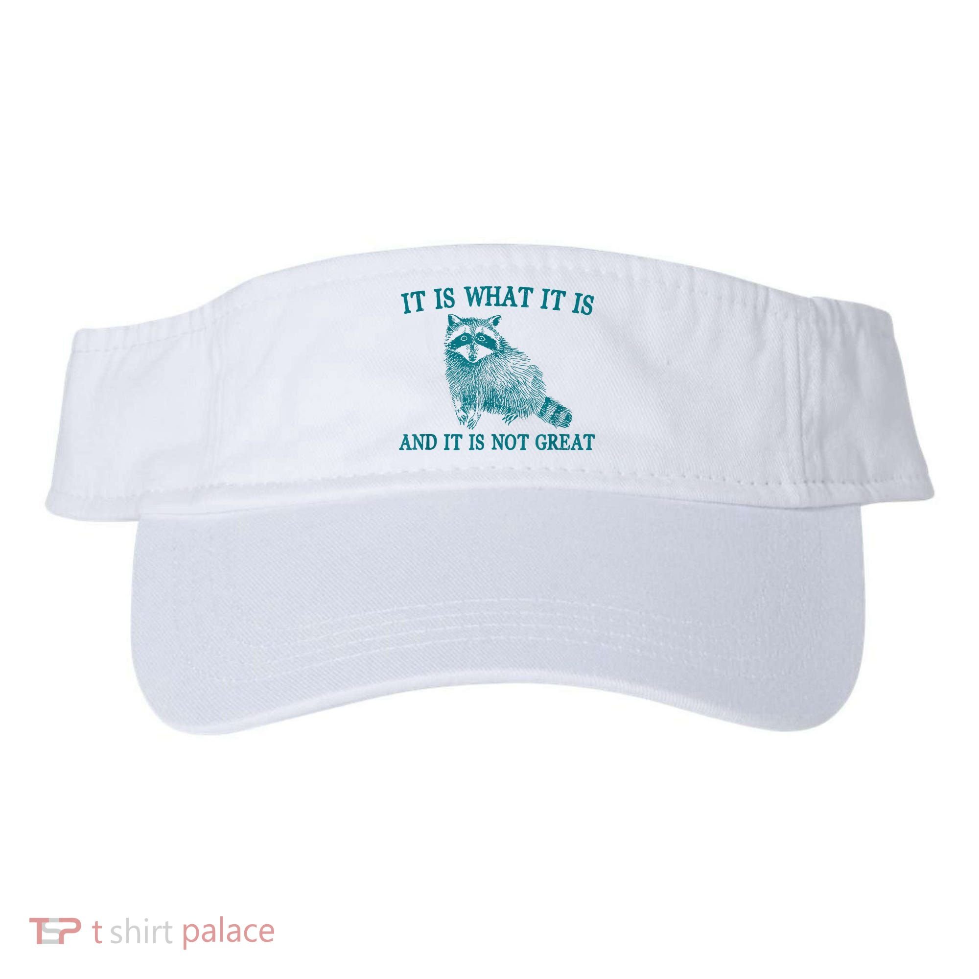 It Is What It Is And It Is Not Great Raccoon Visor