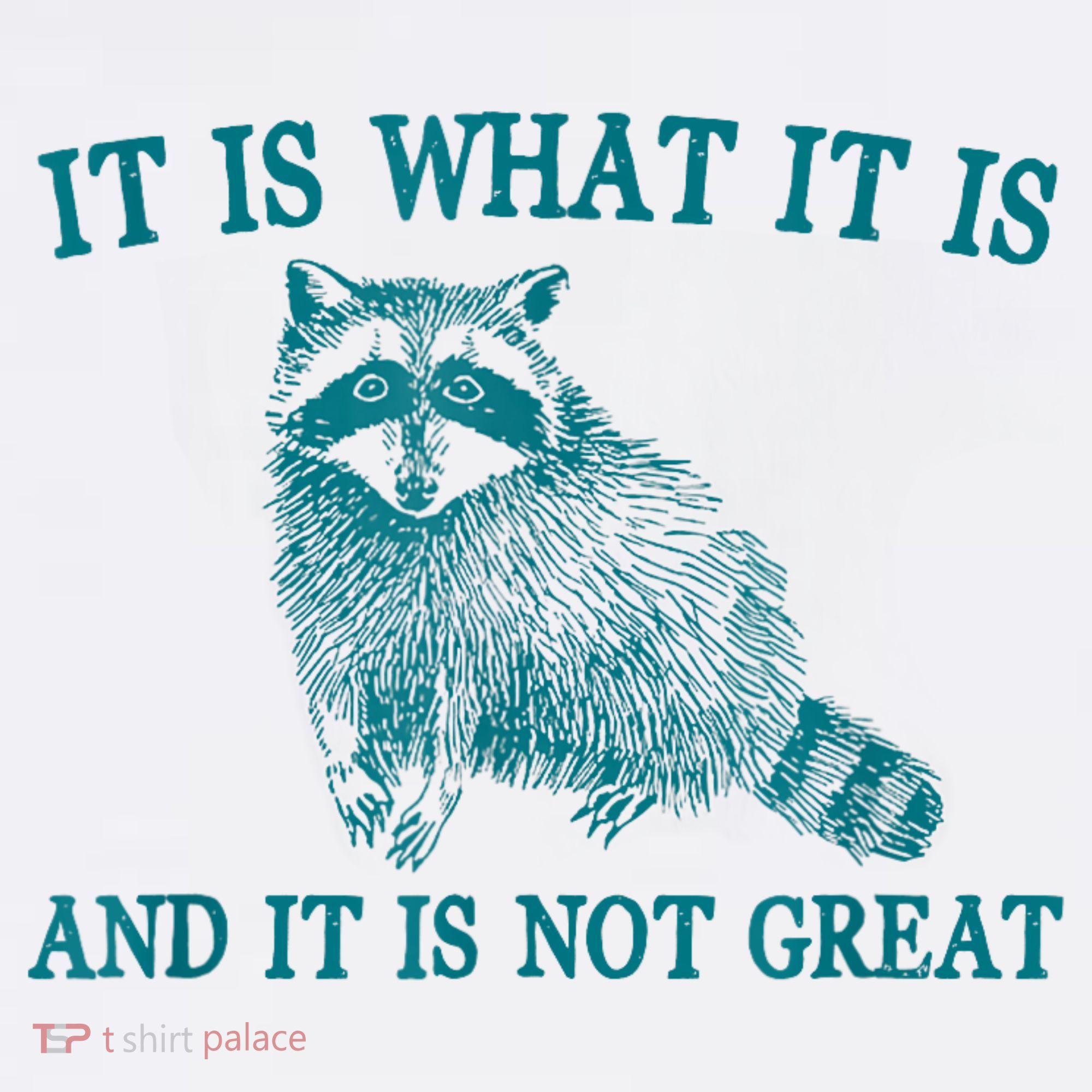 It Is What It Is And It Is Not Great Raccoon Visor