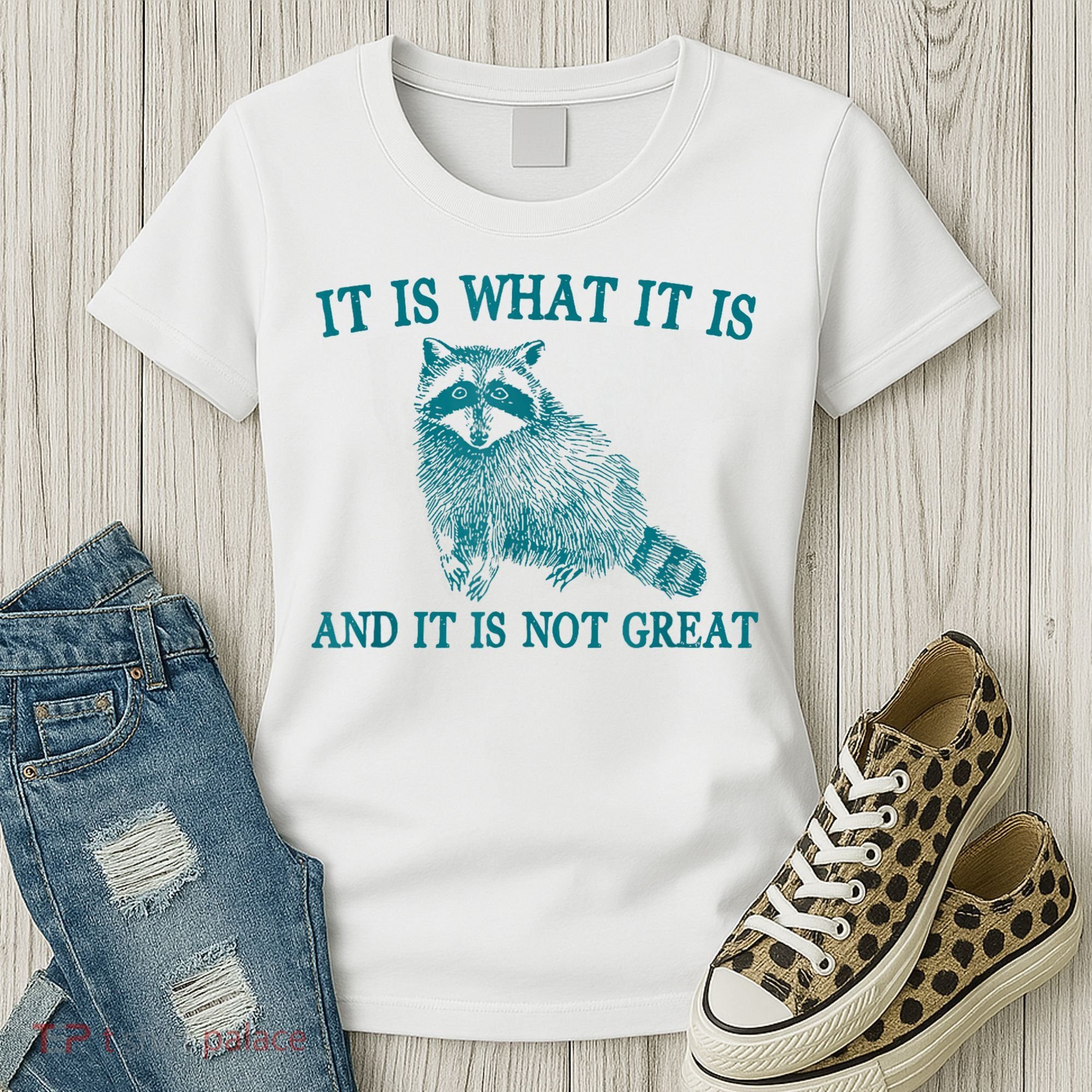It Is What It Is And It Is Not Great Raccoon Women's T-Shirt