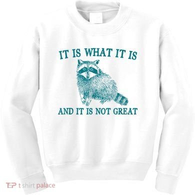 It Is What It Is And It Is Not Great Raccoon Kids Sweatshirt