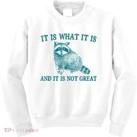 It Is What It Is And It Is Not Great Raccoon Kids Sweatshirt thumb 0