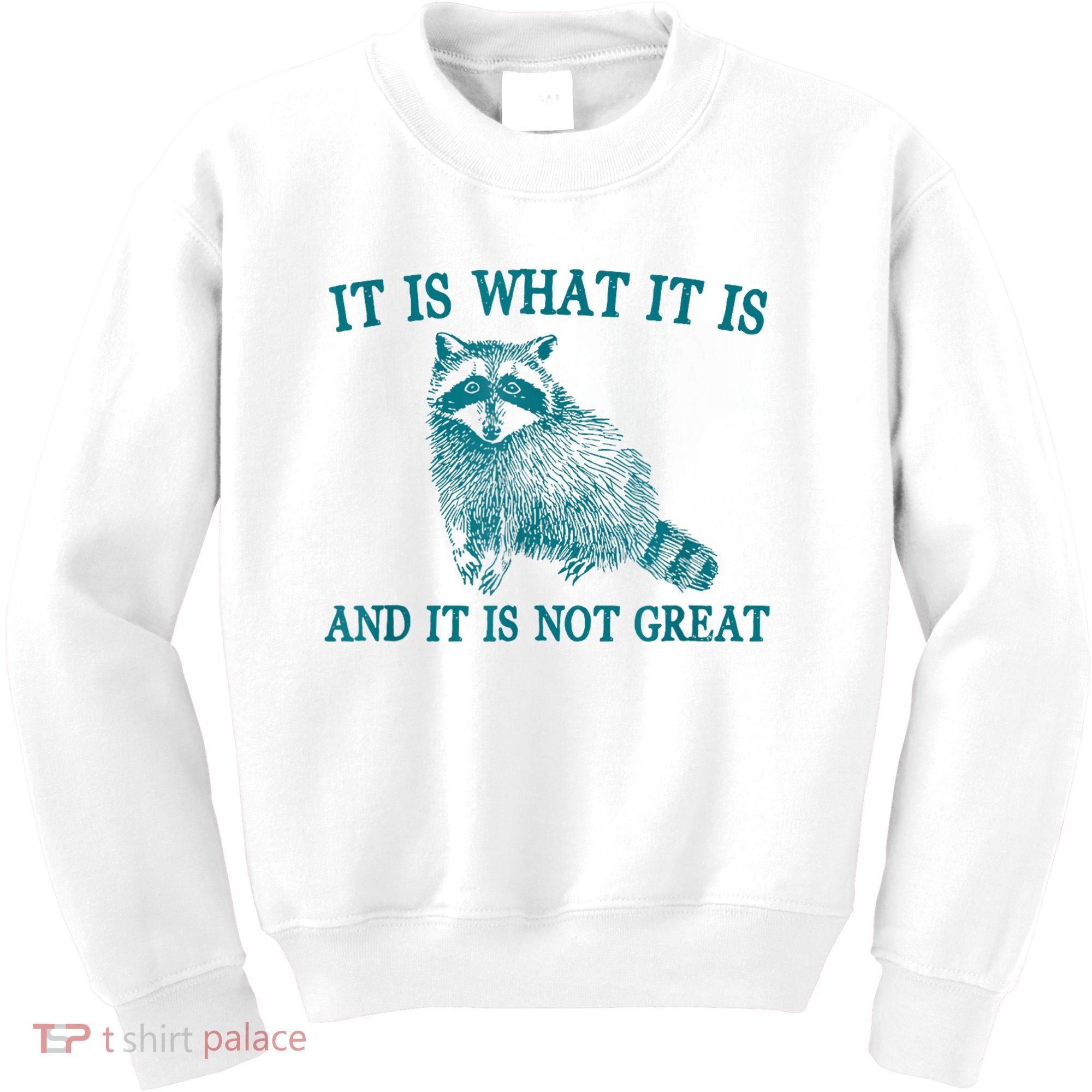 It Is What It Is And It Is Not Great Raccoon Kids Sweatshirt