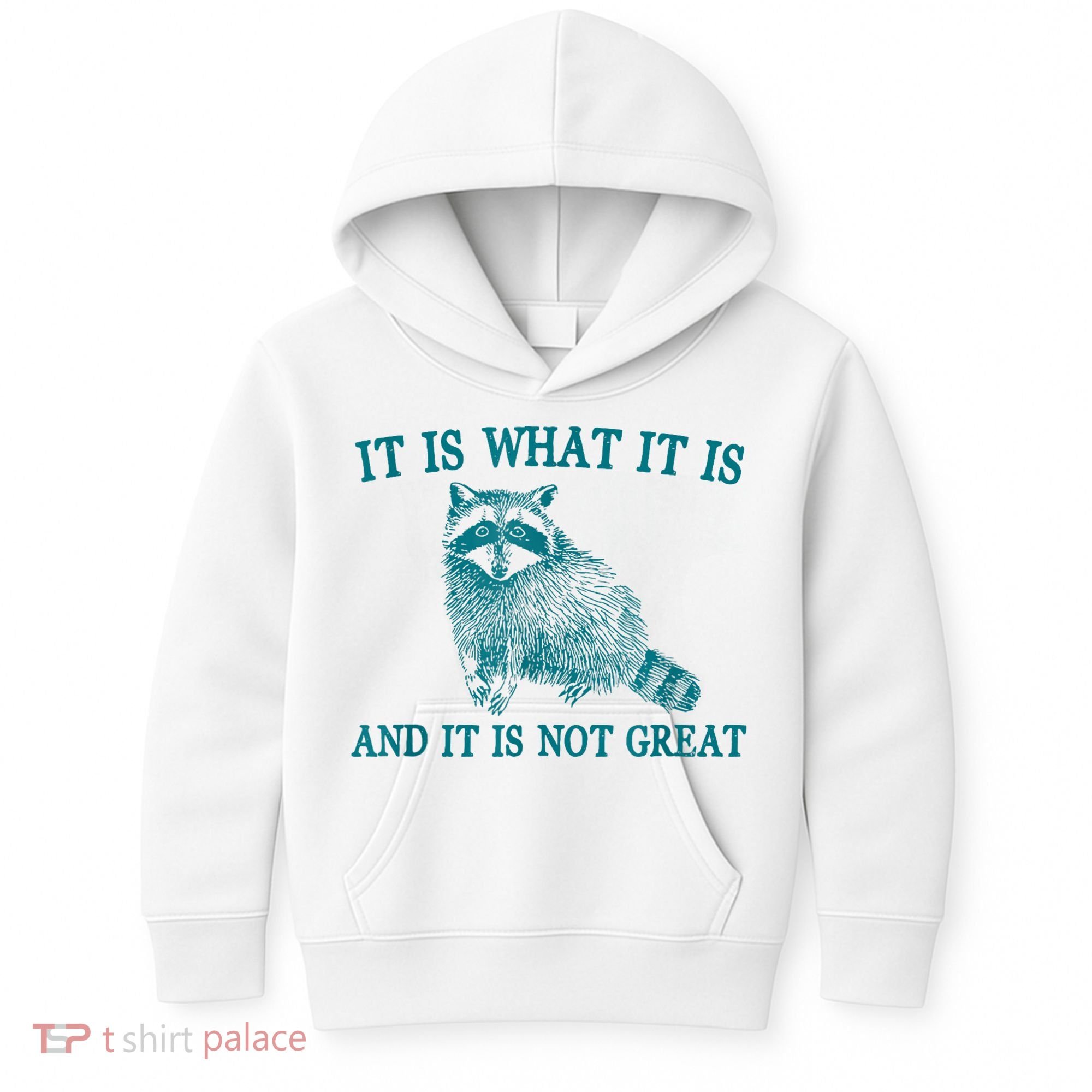 It Is What It Is And It Is Not Great Raccoon Kids Hoodie