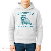 It Is What It Is And It Is Not Great Raccoon Kids Hoodie thumb 4