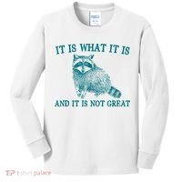 It Is What It Is And It Is Not Great Raccoon Kids Long Sleeve Shirt thumb 0