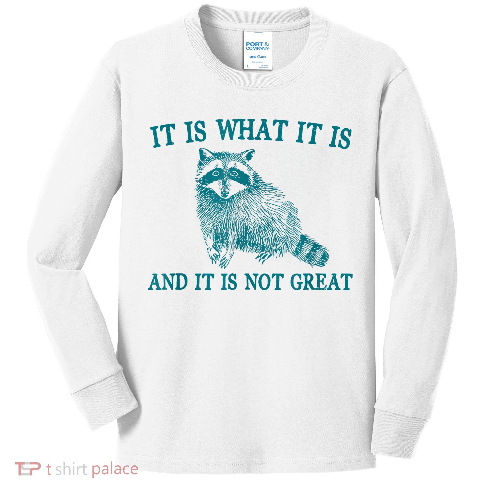 It Is What It Is And It Is Not Great Raccoon Kids Long Sleeve Shirt