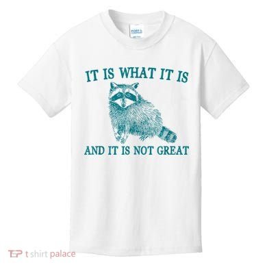 It Is What It Is And It Is Not Great Raccoon Kids T-Shirt
