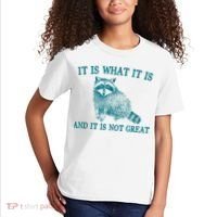 It Is What It Is And It Is Not Great Raccoon Kids T-Shirt thumb 2
