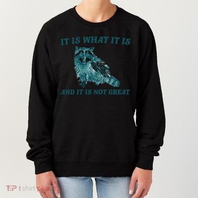 It Is What It Is And It Is Not Great Women's Sweatshirt