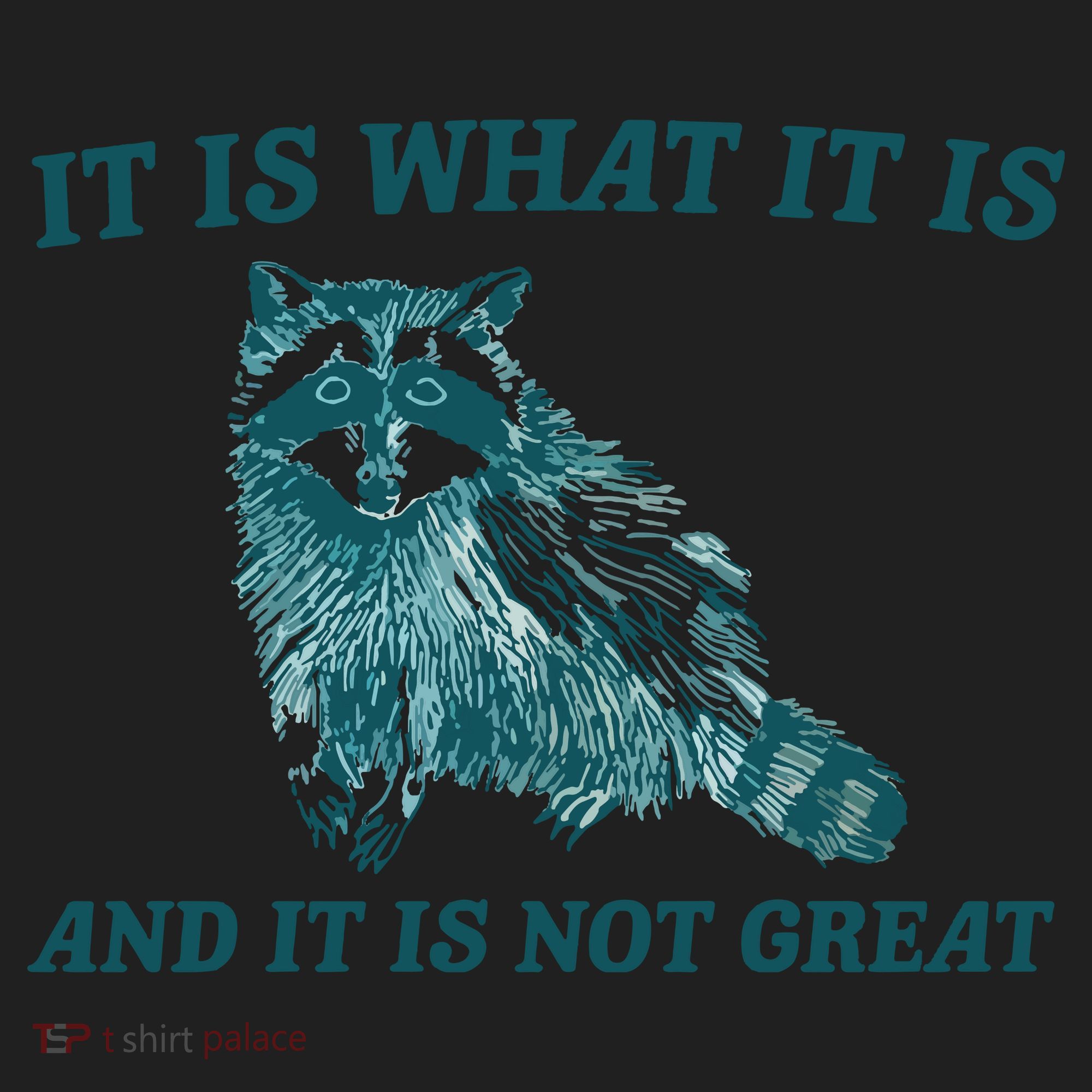 It Is What It Is And It Is Not Great Women's Sweatshirt