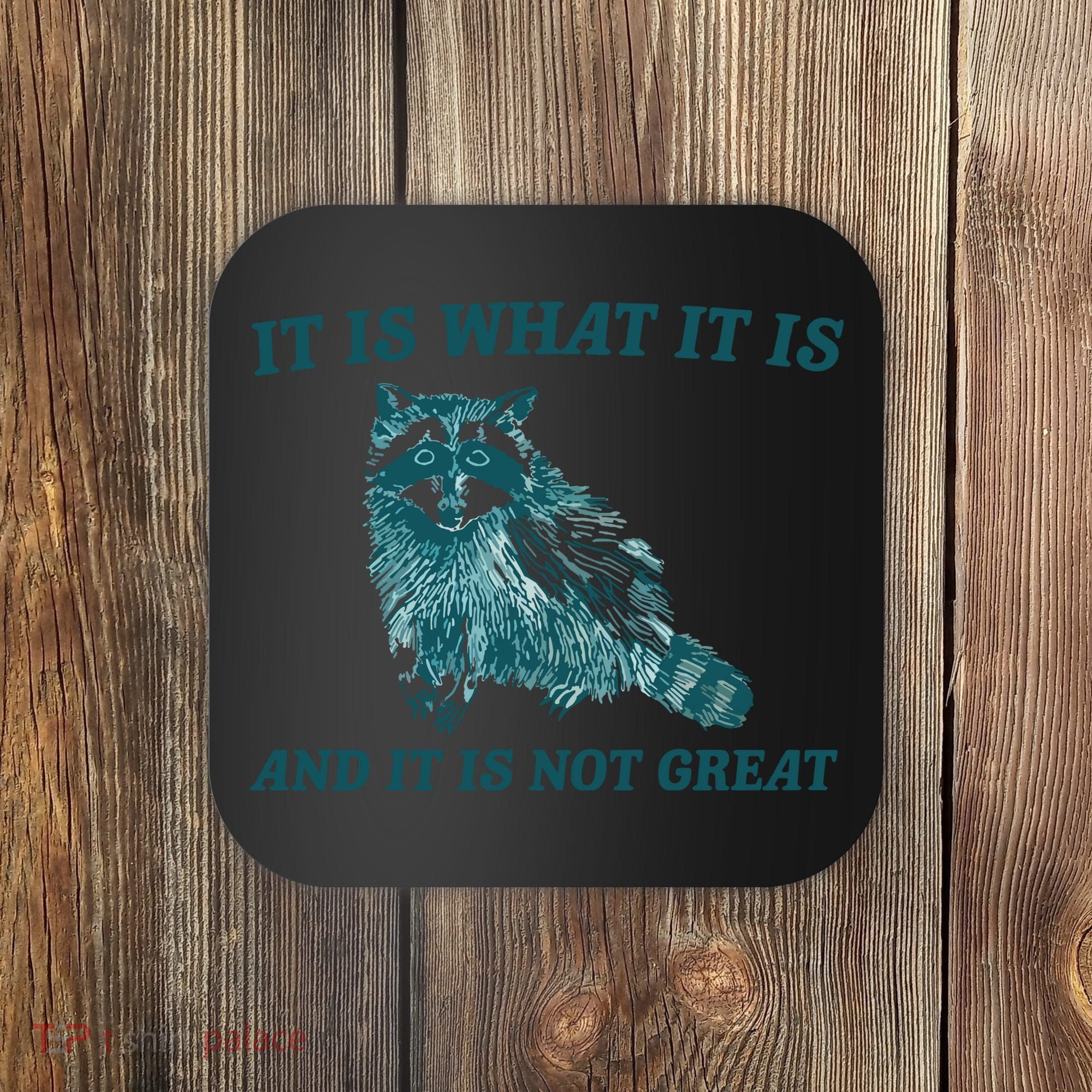 It Is What It Is And It Is Not Great Coaster