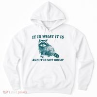 It Is What It Is And It Is Not Great Hoodie thumb 0