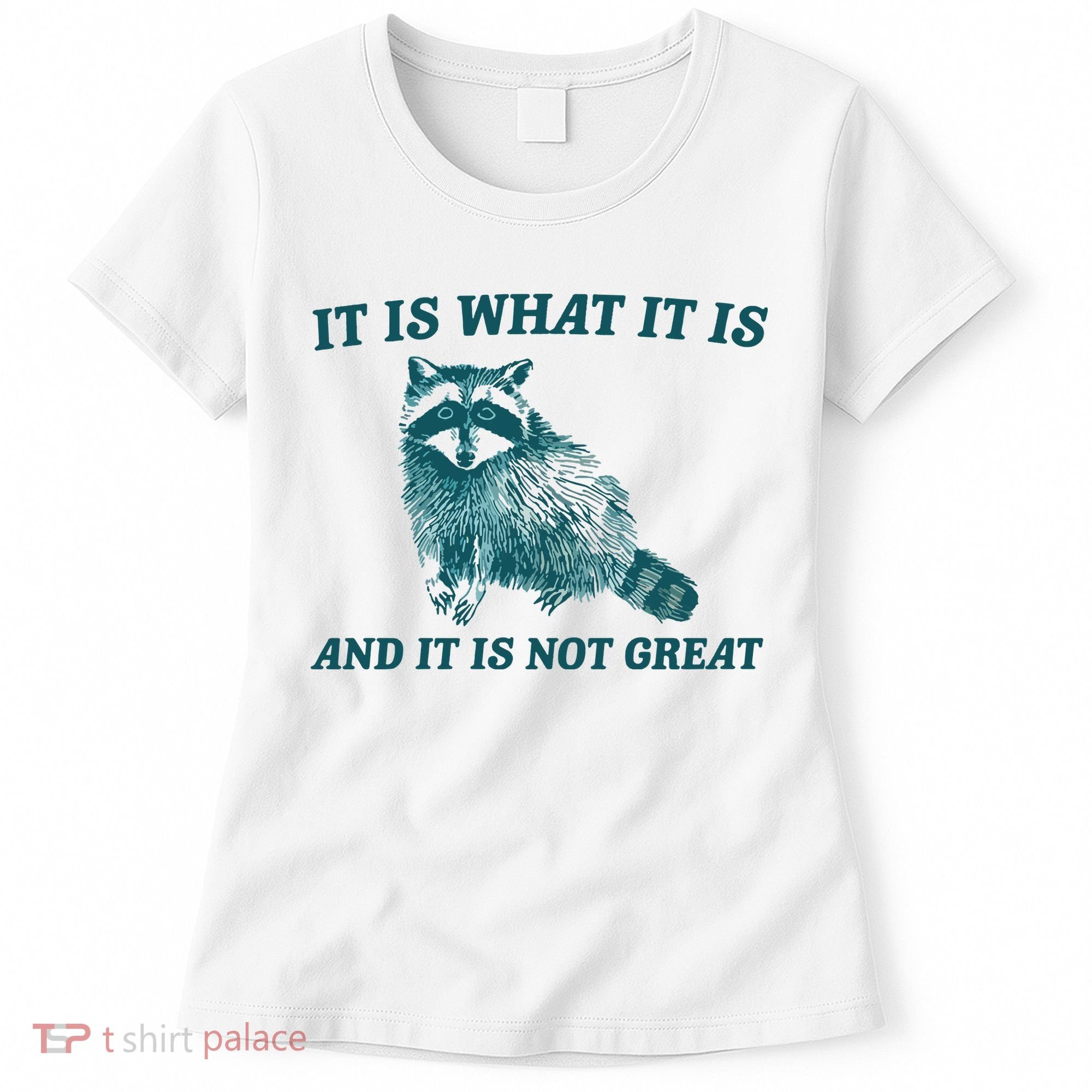 It Is What It Is And It Is Not Great Women's T-Shirt