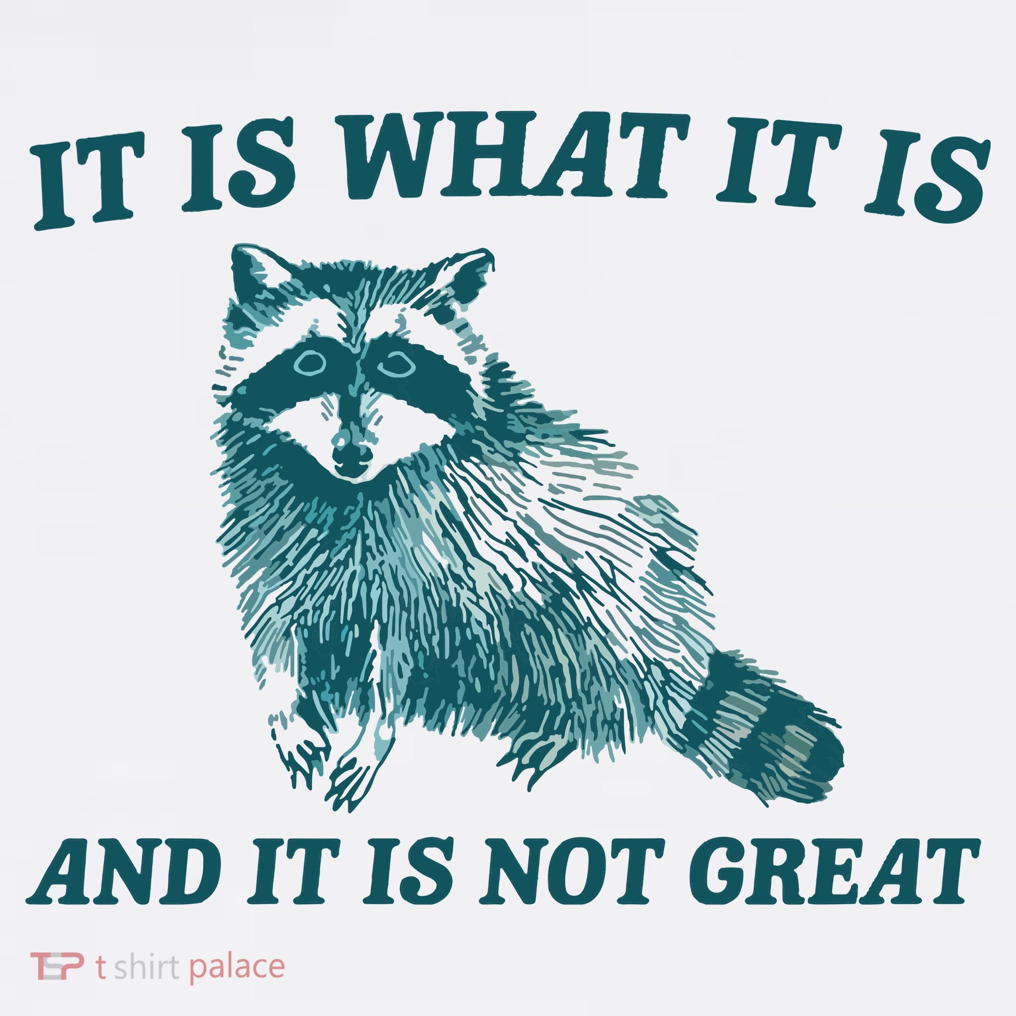 It Is What It Is And It Is Not Great Kids Hoodie