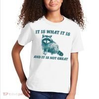 It Is What It Is And It Is Not Great Kids T-Shirt thumb 2