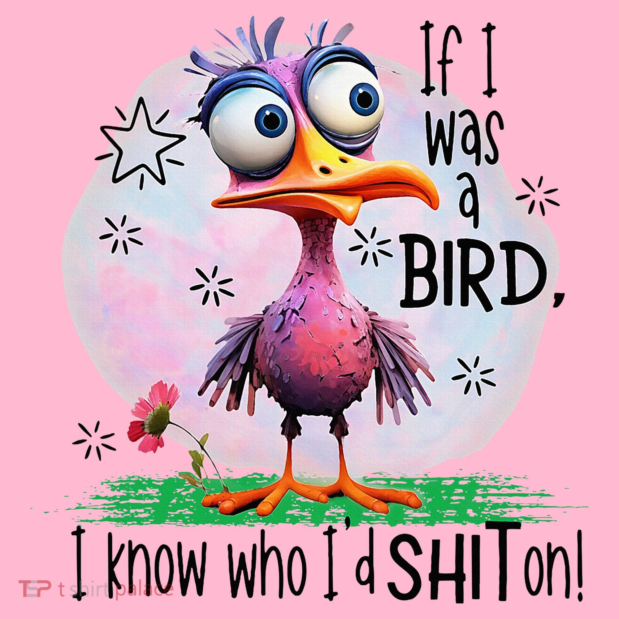 If I Was A Bird I Know Who ID Shit On Coaster