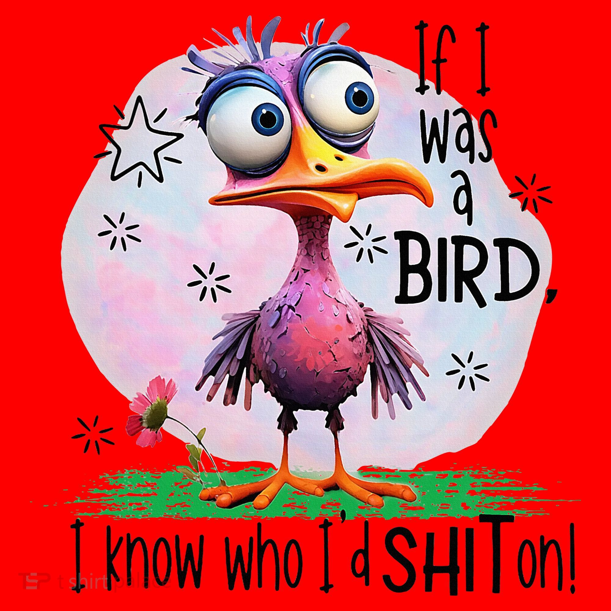 If I Was A Bird I Know Who ID Shit On Santa Hat