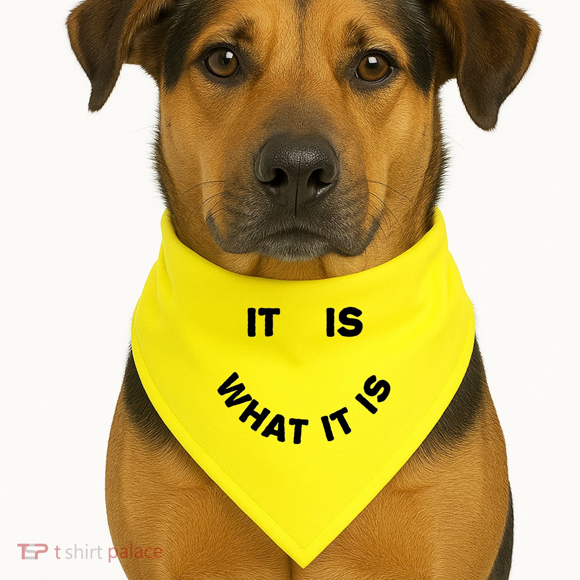 It Is What It Is Smiley Face USA-Made Doggie Bandana