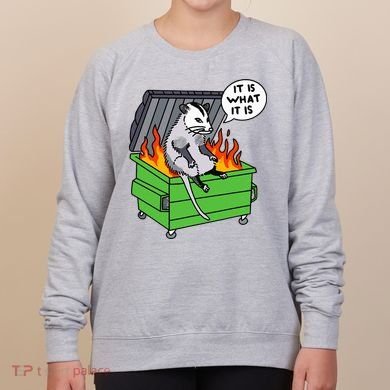 It Is What It Is Possum Dumpster Fire Women's Sweatshirt