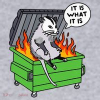 It Is What It Is Possum Dumpster Fire Women's Sweatshirt thumb 2