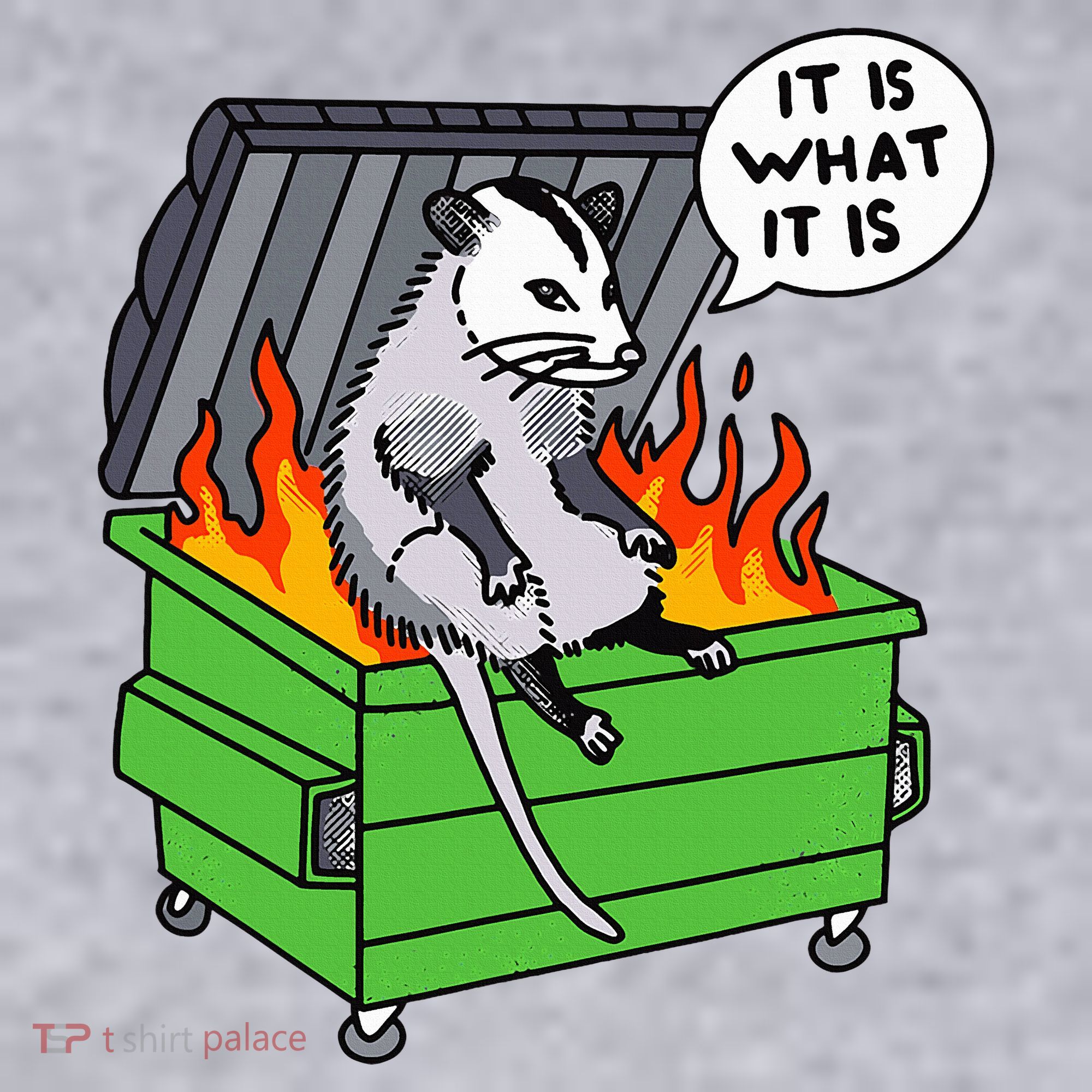 It Is What It Is Possum Dumpster Fire Women's Sweatshirt