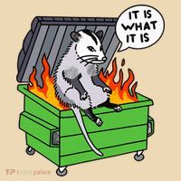 It Is What It Is Possum Dumpster Fire Tote Bag thumb 4