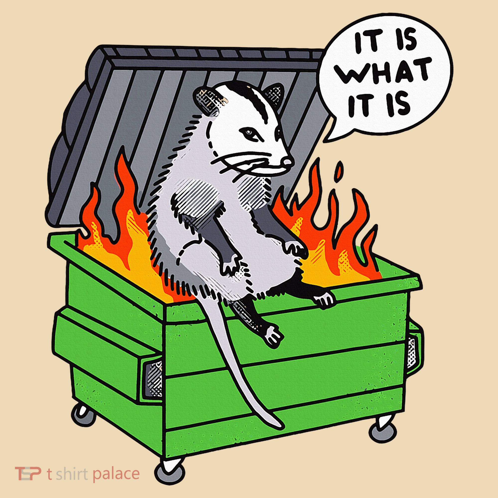 It Is What It Is Possum Dumpster Fire Tote Bag