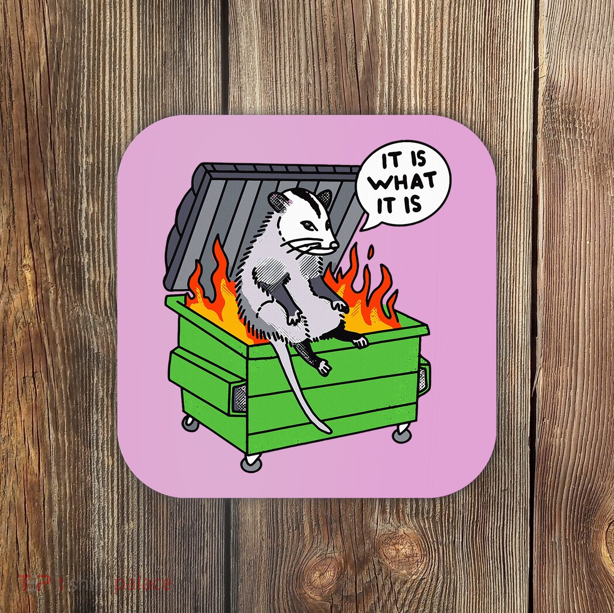 It Is What It Is Possum Dumpster Fire Coaster