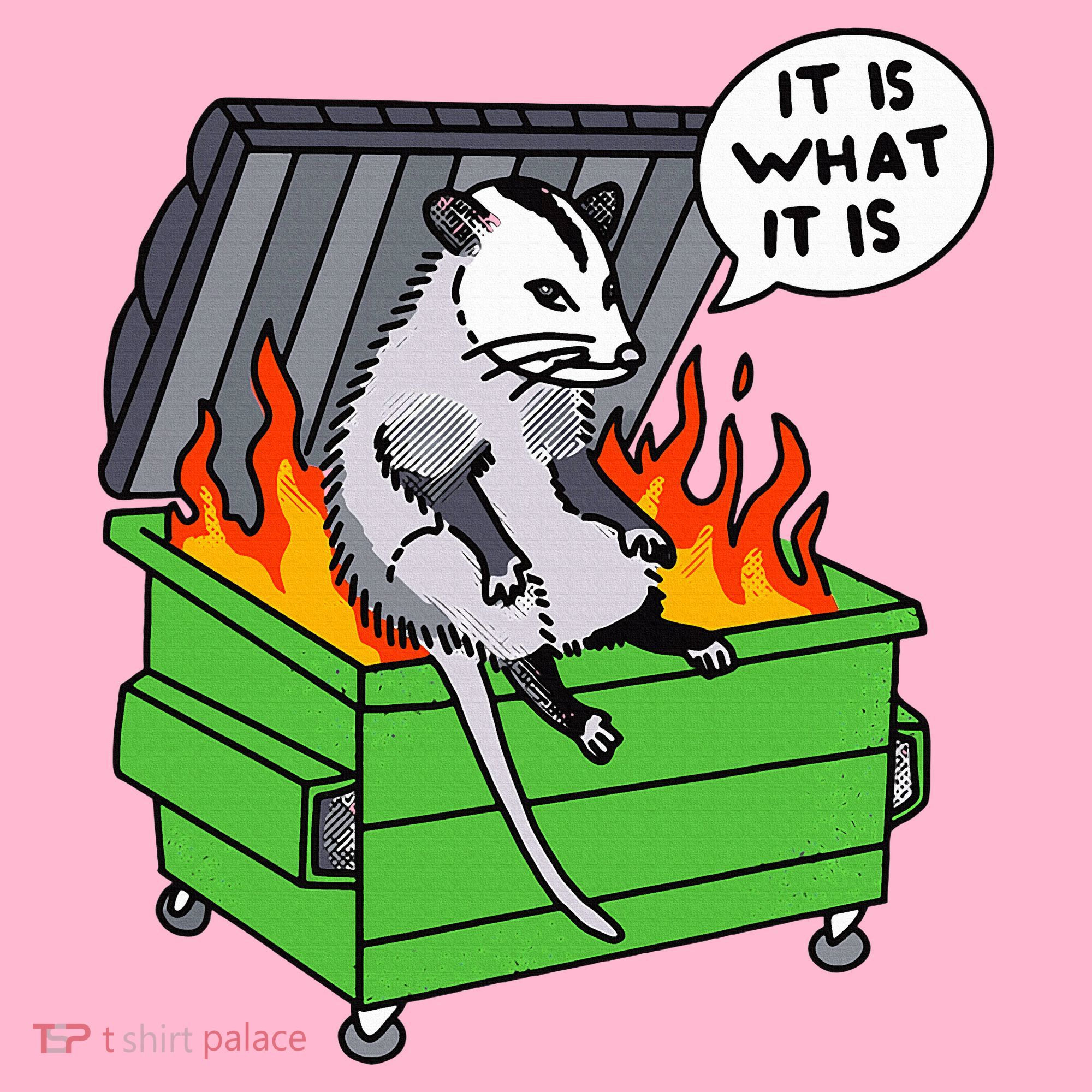 It Is What It Is Possum Dumpster Fire Coaster