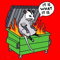 It Is What It Is Possum Dumpster Fire Santa Hat thumb 1