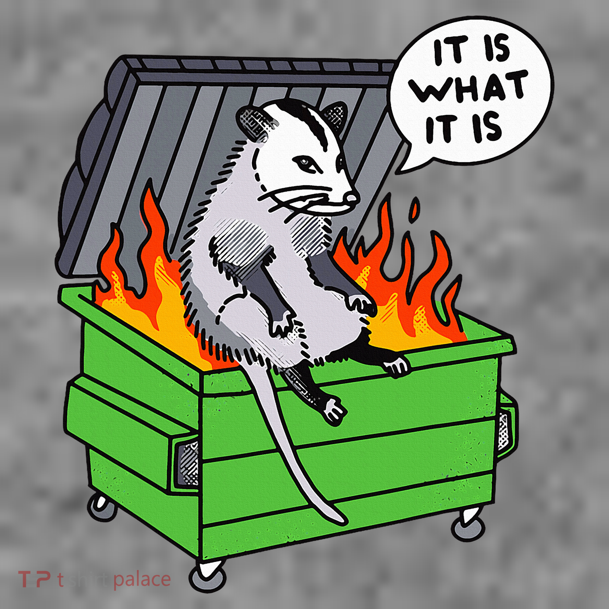 It Is What It Is Possum Dumpster Fire Toddler Hoodie