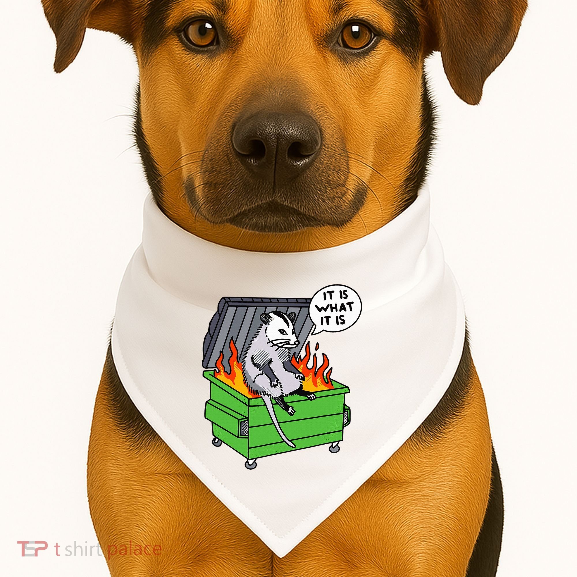 It Is What It Is Possum Dumpster Fire USA-Made Doggie Bandana