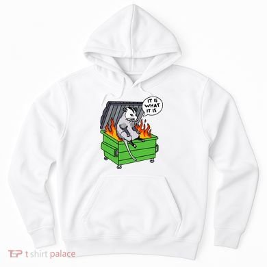 It Is What It Is Possum Dumpster Fire Hoodie