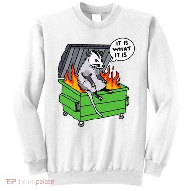 It Is What It Is Possum Dumpster Fire Sweatshirt
