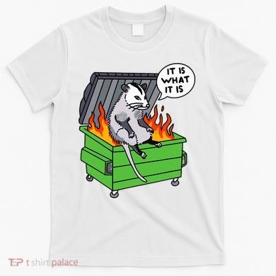 It Is What It Is Possum Dumpster Fire T-Shirt