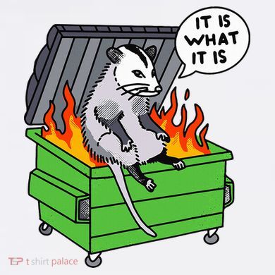 It Is What It Is Possum Dumpster Fire T-Shirt