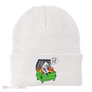 It Is What It Is Possum Dumpster Fire Beanie