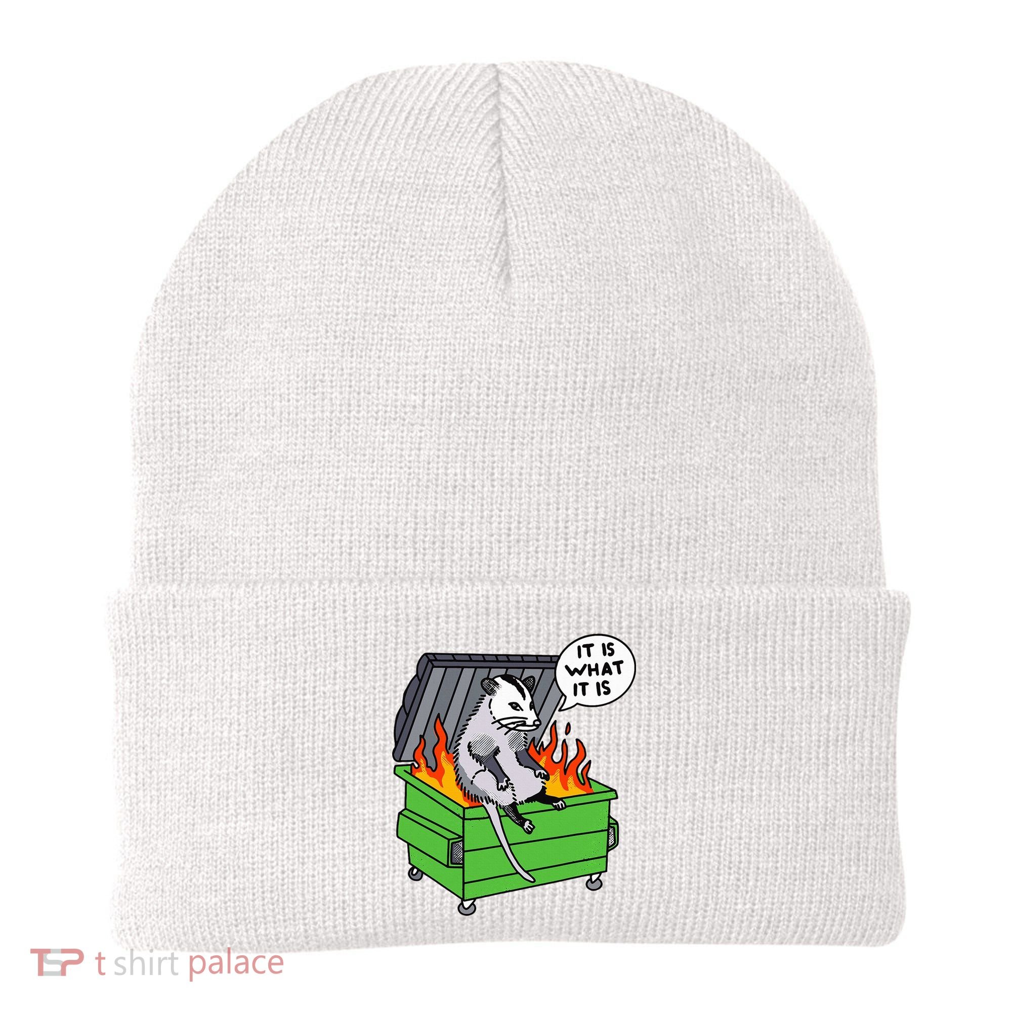 It Is What It Is Possum Dumpster Fire Beanie