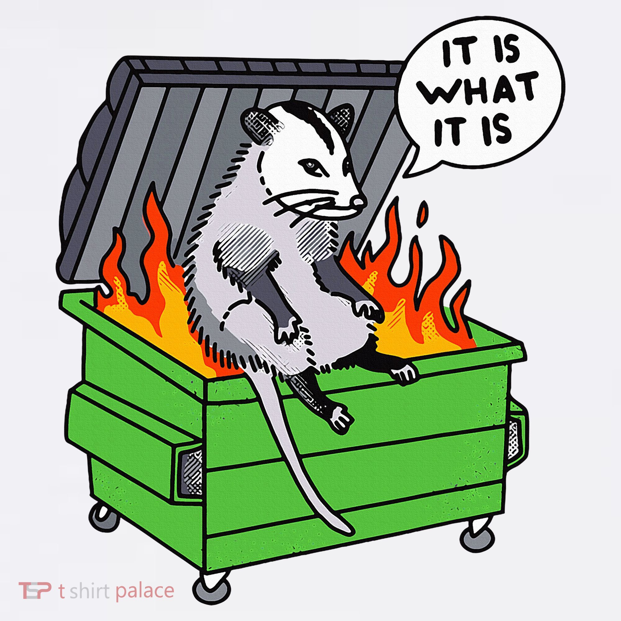 It Is What It Is Possum Dumpster Fire Mousepad