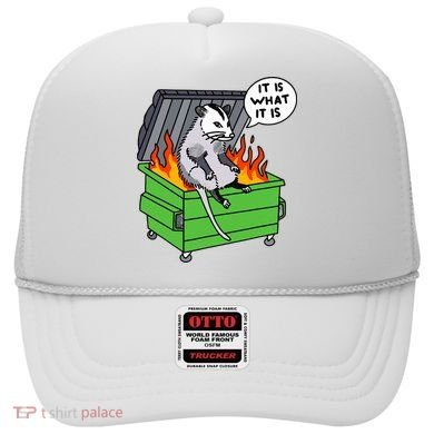It Is What It Is Possum Dumpster Fire Hat