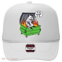 It Is What It Is Possum Dumpster Fire Hat thumb 0