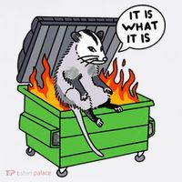 It Is What It Is Possum Dumpster Fire Hat thumb 2