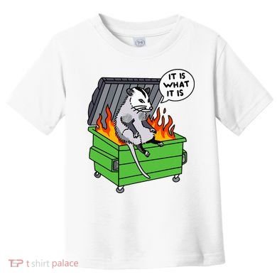 It Is What It Is Possum Dumpster Fire Toddler T-Shirt