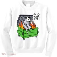It Is What It Is Possum Dumpster Fire Kids Sweatshirt thumb 0